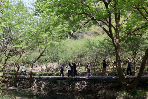 Happy Team Building em Zhong Yandang Mountain